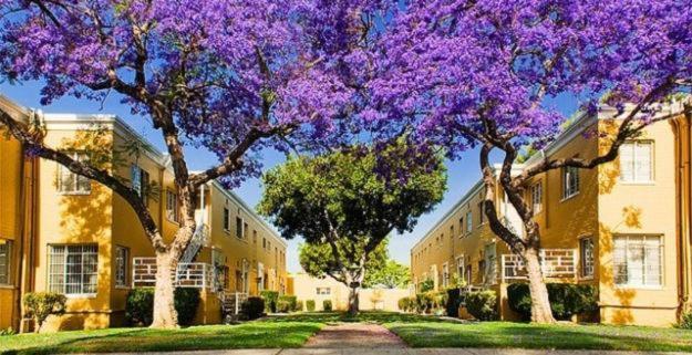 Spacious Charming Condo With Great Views Near The Grove ロサンゼルス エクステリア 写真